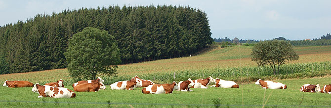 syndicats agricoles du Pilat