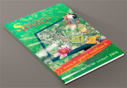bulletin annuel 2006
