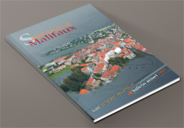 bulletin annuel 2007