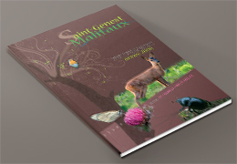 bulletin annuel 2008