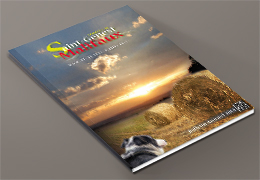 bulletin annuel 2014