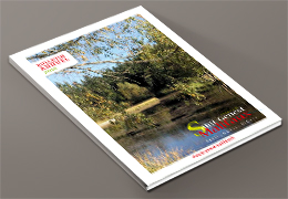 bulletin annuel 2016