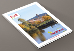 bulletin annuel 2017