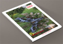 bulletin annuel 2018