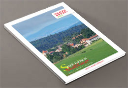 bulletin annuel 2020