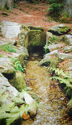 Source du Cotatay