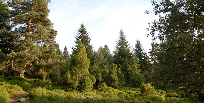 paysage de Chaussitre, classé Site Natura 2000