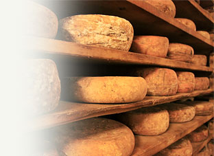 produits du terroir et vente directe