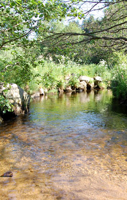 ballade le long de la rivière Semène