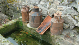 Balade au fil du sentier du Bois de la Trappe