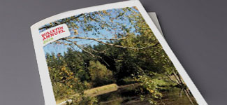 publications municipales : bulletin annuel