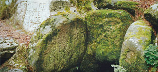 La font ria