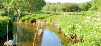 étude de la qualité des eaux de la rivière Semène et ses affluents