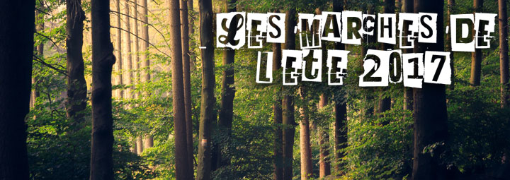 Marche de l'été dans le Pilat