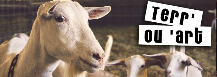Ferme Vérot