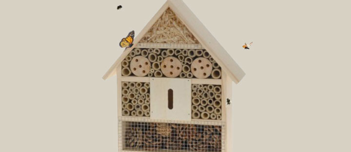 Atelier parents-enfants autour de la nature
