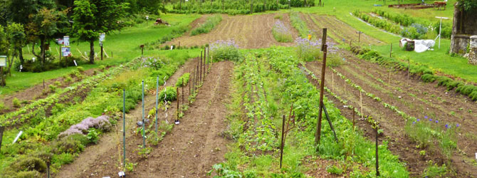 La Grange aux mille saveurs