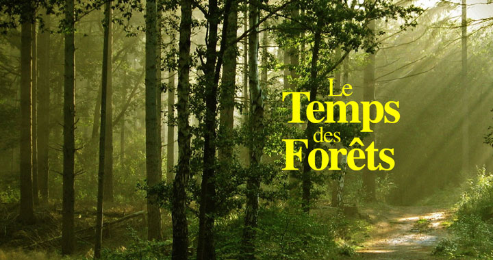 Le temps des Forêts