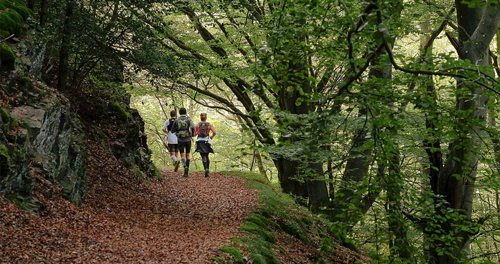 trail du Haut-Pilat