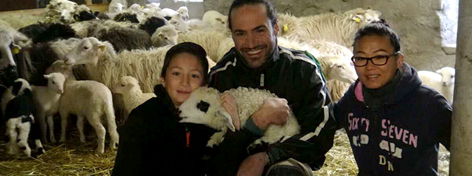 La Ferme La Pecorella
