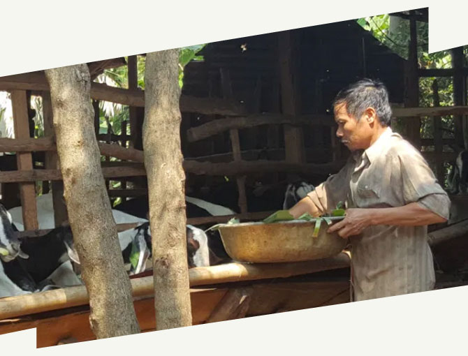 Vietnam, nécessité fait loi