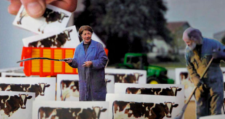 film documentaire les vaches n’auront plus de nom