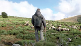 Document Terre
“Mémoires de la montagne”