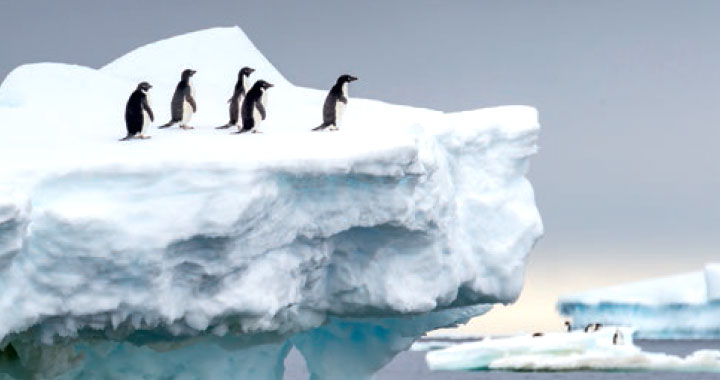 Antarctique, aux confins du monde