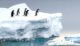 Document Terre
“Antarctique, aux confins du monde”