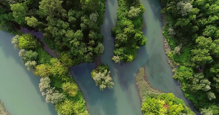 Document Terre Le Rhône, un fleuve en sursis