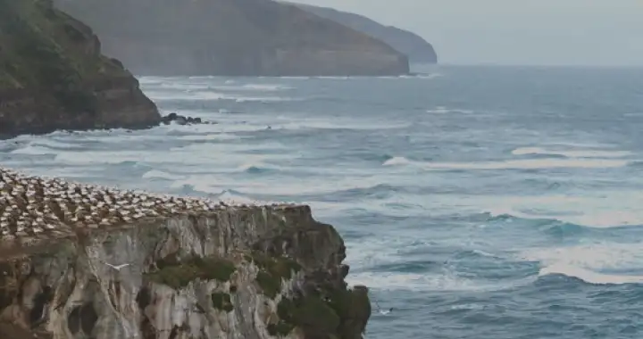 Nouvelle-Zélande, le joyau des antipodes