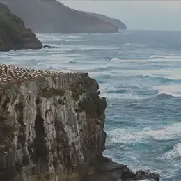 Nouvelle-Zélande, le joyau des antipodes